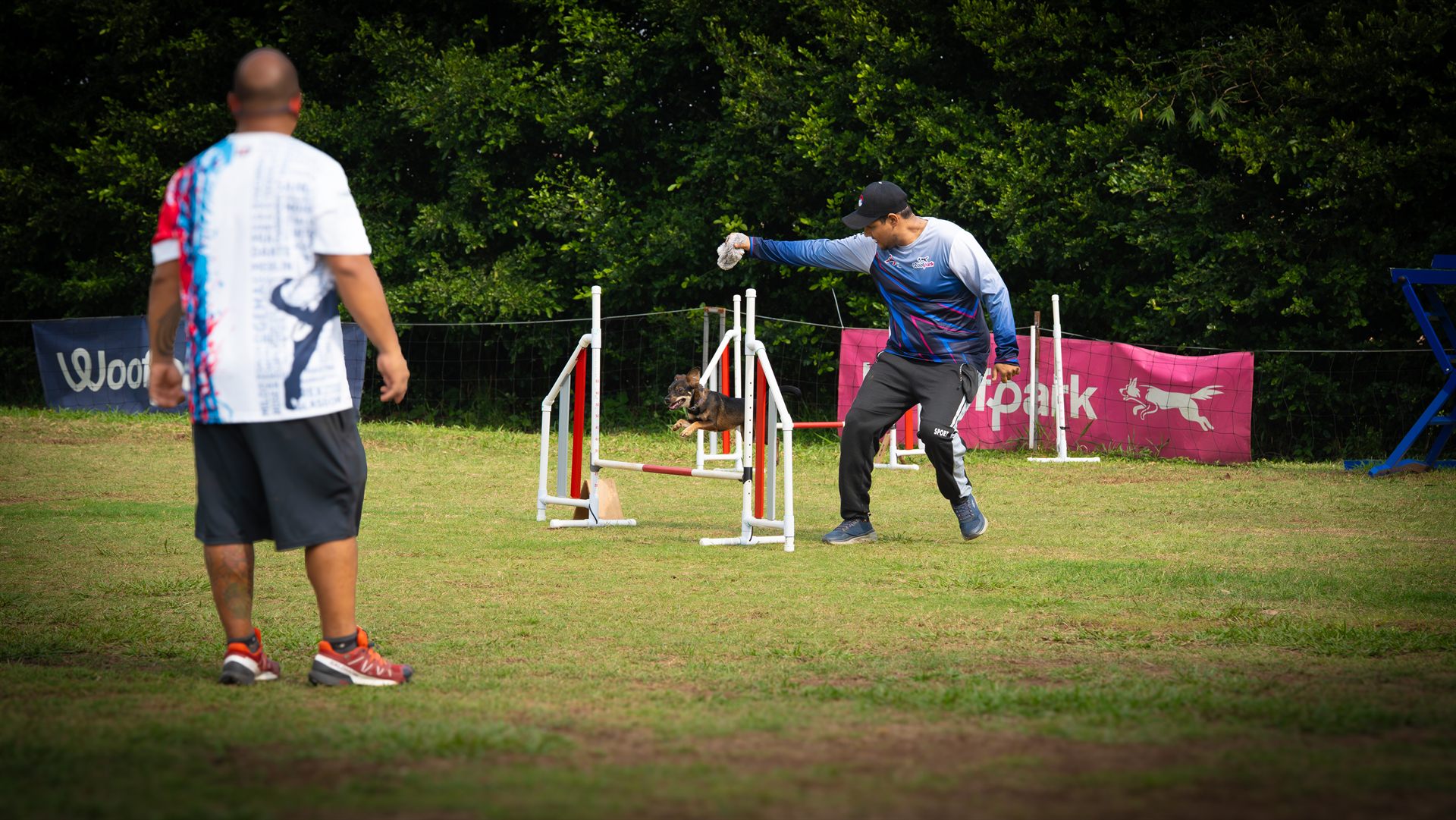 Clase de agility en Cali con instructor guiando a un perro sobre las vallas, planes de escuela canina en WPark